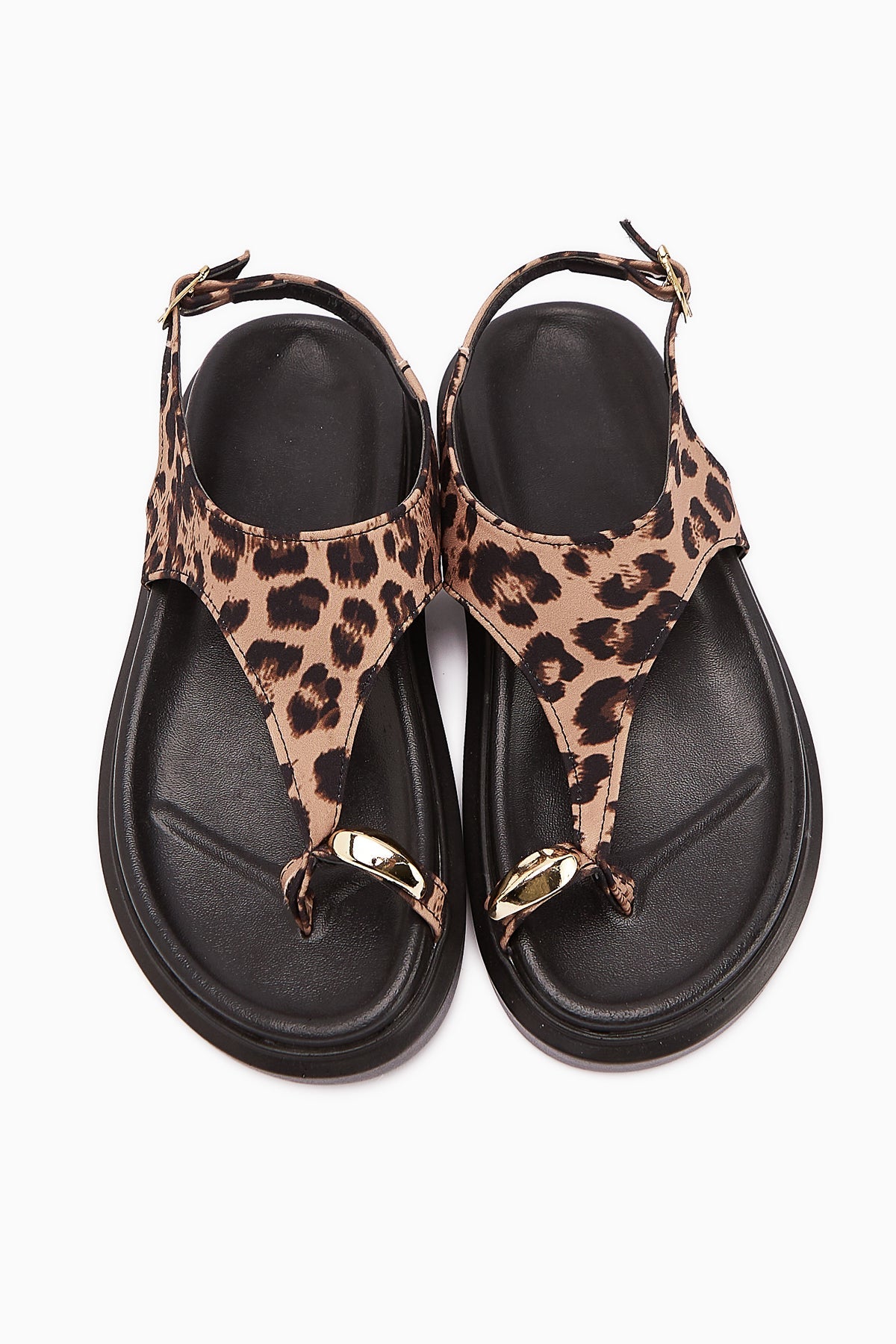Vanda Leopard Print Buckle Thong Women's Sandals