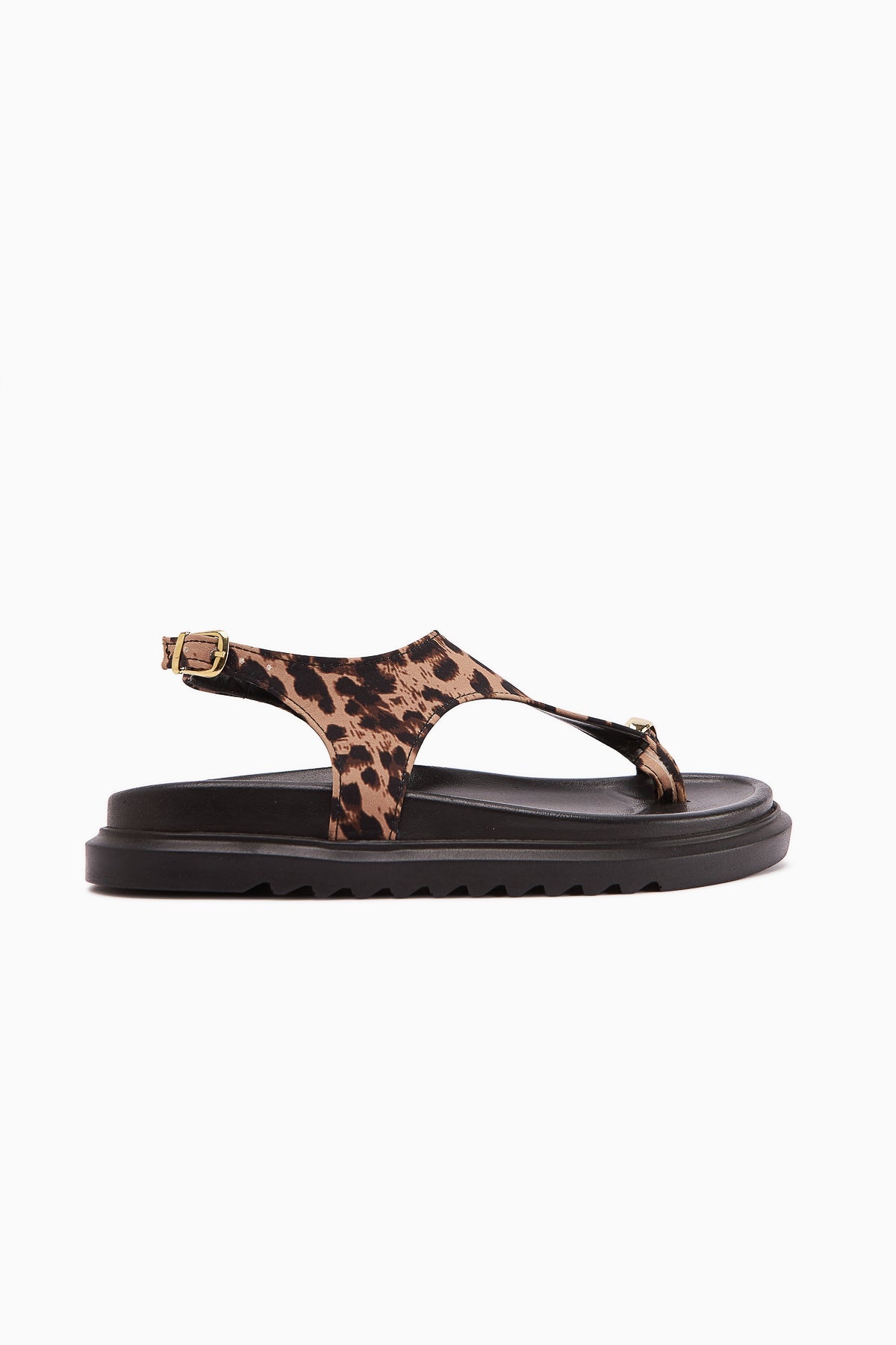 Vanda Leopard Print Buckle Thong Women's Sandals
