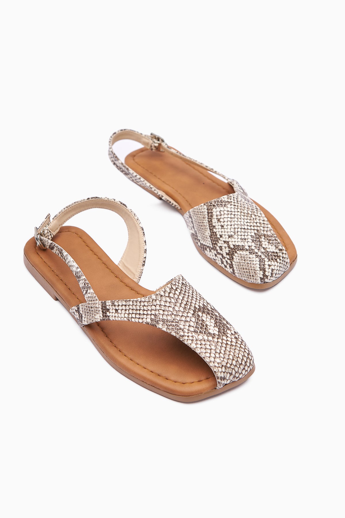 Agnez Snake Patterned Belt Detailed Women's Sandals